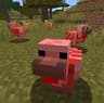 Boom Chickens icon