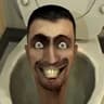 Totem Skibidi Toilet icon