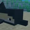 Common Dolphin icon