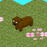 More Pets icon