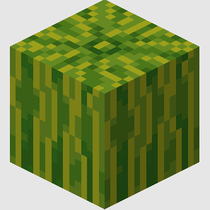 Watermelon Origin icon