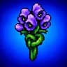 Breathtaking Aconitum icon