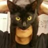 BatPack icon