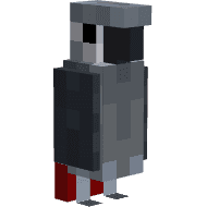 Nie's African Grey Parrots icon