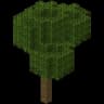 Old Growth Forest icon