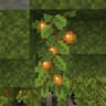 World of Lush Caves icon