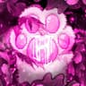 Meow: Create icon