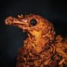 Rotten Chicken: Rotten Flesh cooks to Chicken icon