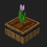 Sprout icon