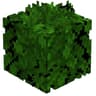 ReaLeaves icon