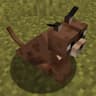 Caracal mob icon
