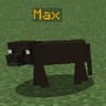 Caio's Labradors icon