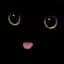 Kateroo icon