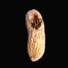 SCP-173 The real Peanut icon