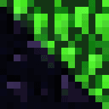 Alpha Leaves Fix icon