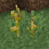 Bomb's humble bushier grass icon