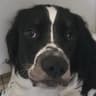 BlablaLib icon