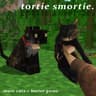 tortoiseshell tortoisesmell icon