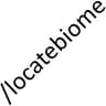 LocateBiome icon