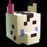 TaidumCraft icon