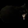 Maxwell Cat in Minecraft icon