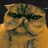 cat from I'm not a Human icon