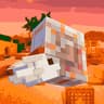 ShellRp icon