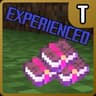 Enchanted Experience icon