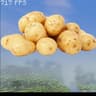potato-performance-base-pack icon