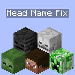 Head Name Fix icon