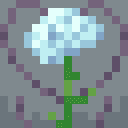 Carnation icon