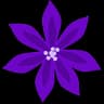 lily icon