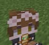 My totem in mc icon