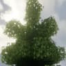 dronko's alternative Bushy Leaves X nature's spirit icon