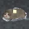 Potato cats icon
