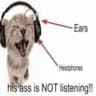 What Are They Listening To (WATLT) icon