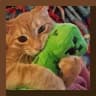 Potato's Cat Paintings icon