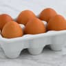 eggolib icon
