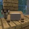 World-class Trustworthy Floppas icon