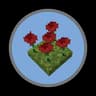 Roses icon