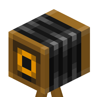 Camera Traveling icon