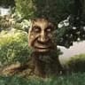 Superior Trees icon
