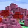 Askew Sweetened icon