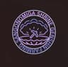 SHG  font icon