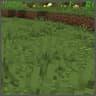Dry Grass Textures For Short And Tall Grass icon