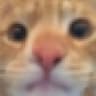 TeoCats icon
