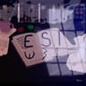 ESI Translation icon