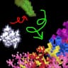 Coral Craft icon