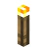TorchBorn icon