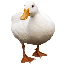 Duck Origin icon